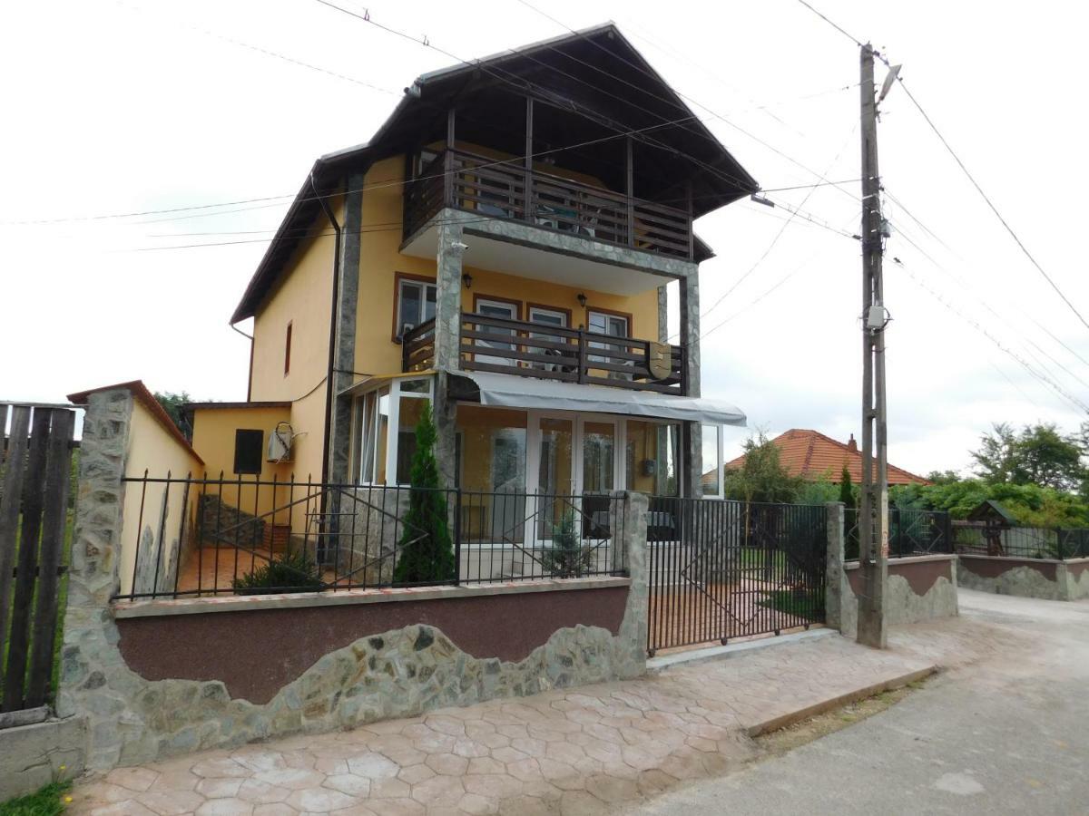 Pensiunea Casa Domnitei 바이아 데 피에르 외부 사진