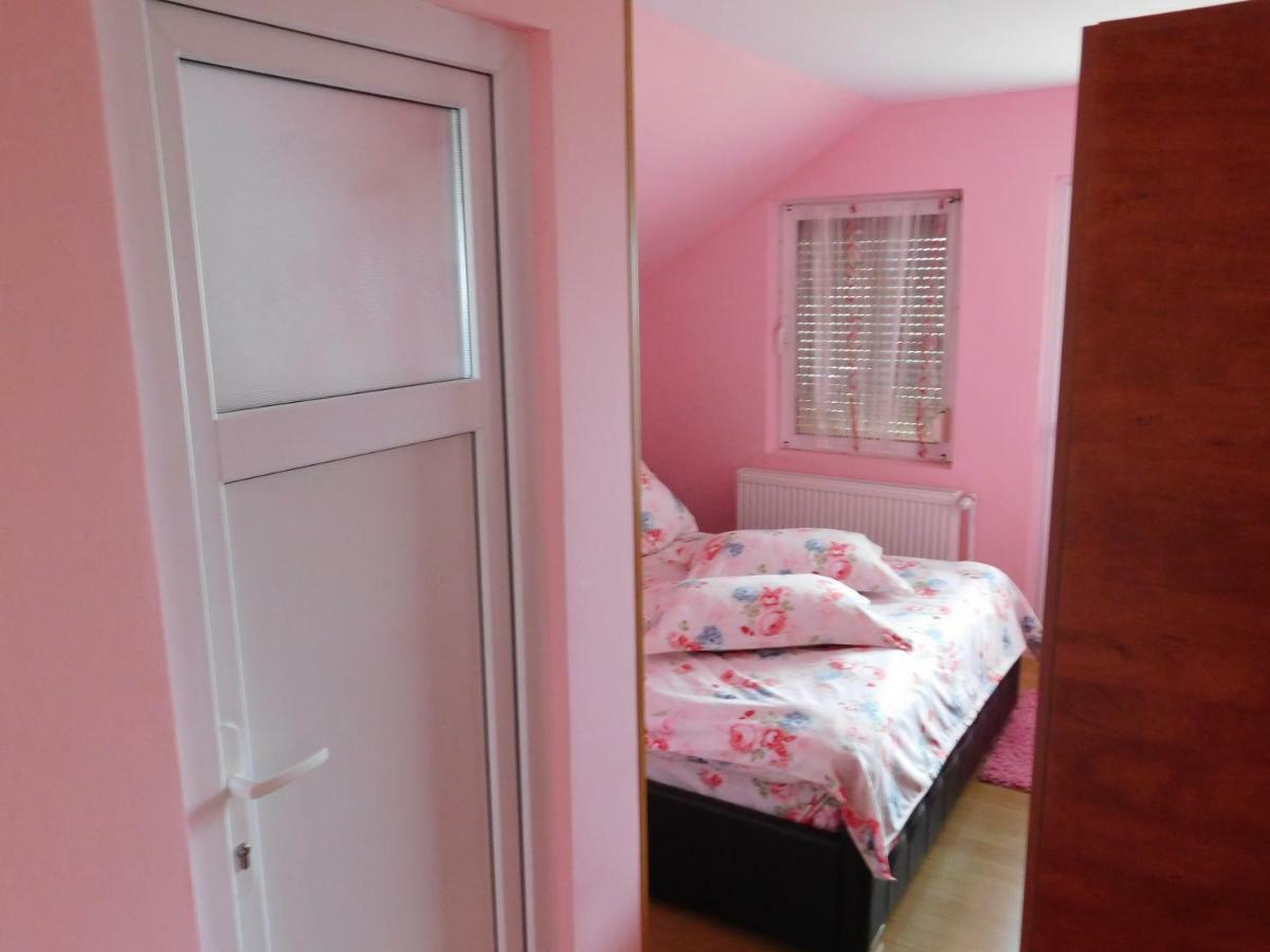 Pensiunea Casa Domnitei 바이아 데 피에르 외부 사진